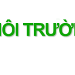 Môi Trường Xanh