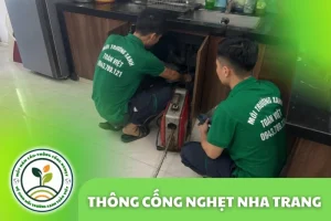Môi Trường Xanh Toàn Việt
