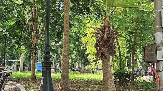 Nhà vệ sinh công cộng